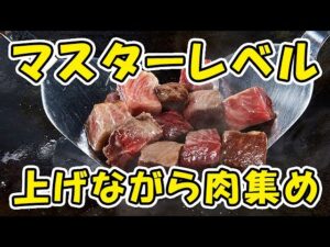 【グラブル】マスターレベル上げながら肉集め（闇古戦場）「グランブルーファンタジー」