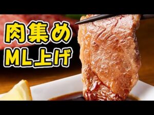 【グラブル】予選2日目 ML上げながら肉集め（古戦場）「グランブルーファンタジー」