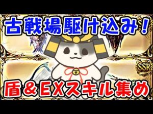 【グラブル】古戦場駆け込み！盾＆EXスキル集め「グランブルーファンタジー」