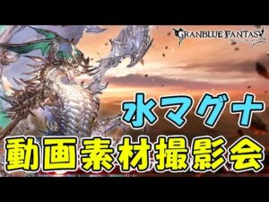 【グラブル】スパバハ 水マグナ撮影会「グランブルーファンタジー」