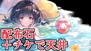 貰った石とチケットが天井分貯まったので回したらヤバすぎたｗｗｗｗｗ【グラブル】
