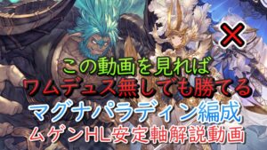 【高難度】ムゲンHL　マグナワム無し編成　パラディン安定軸　ムーブ完全解説動画【グラブル】