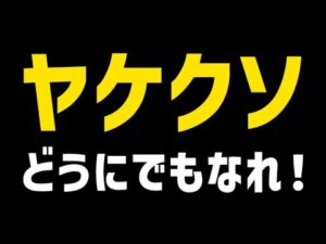 【グラブル】ヤケクソ！！！！もうどうにでもなれ！！！！（グランブルーファンタジー）