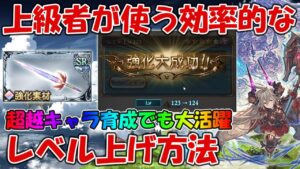 上級者が使う超越キャラの効率的なレベル上げ方法を紹介！かなりの時間短縮が見込めるのでおすすめ【グラブル】
