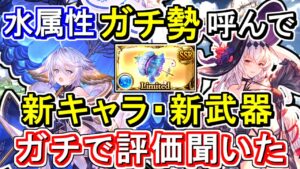 【ガチ勢対談】水古戦場必須！？水属性ガチ勢にワムデュス、水着闇ジャンヌ、ワムデュス斧の性能評価ガチで聞いてみた【グラブル】