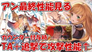 アン最終性能を見て評価してく！カウンター付与時TA＋追撃で早速水着ベリアルの出番ｗｗｗ【グラブル】