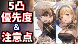 玄武スキンを取得する際に知っておきたい注意点と個人的な玄武斧5凸優先度について【グラブル】