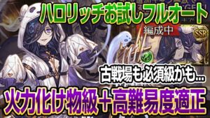 【グラブル】ハロリッチお試しフルオート｜火力化け物で高難易度適性◎【GBF】