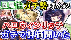【ガチ勢対談】古戦場必須！？風属性ガチ勢にハロウィンリッチ＆トリート・アンド・ストレインの性能評価ガチで聞いてみた。【グラブル】