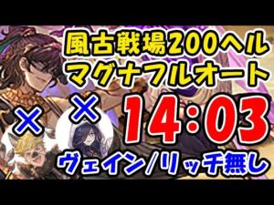 【風古戦場】ヴェイン / リッチ 無し 200ヘル マグナ フルオート（古戦場）（パナケイア）（グラブル）「グランブルーファンタジー」