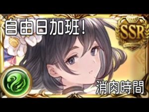 グラブル 碧藍幻想 20221108 風古戰自由日加班!!消肉時間