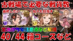 【グラブル】古戦場戦貨ガチャ40箱・44箱コースの必要戦貨数と忘れがちな注意点など解説！初心者の方は4箱、8箱目標が良いです