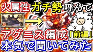 【ガチ勢対談】「前編」　神石移行考えてる方必見！火属性ガチ勢にアグニス編成について本気で聞いてみた【グラブル】