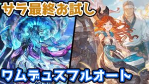 【グラブル】サラ最終お試し ワムデュスフルオート