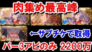 我慢できずにサプチケでアンダーソン取ったので、両面カグヤ リミパー3アビのみ2200万編成を紹介する 【火古戦場/ゆっくり解説.グラブル】