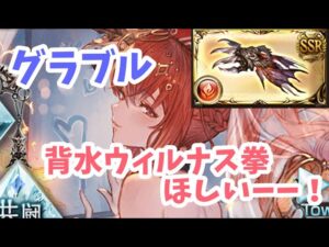 【グラブル】背水ウィルナス拳が欲しいので周回します！