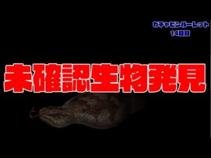 見つけてしまいましたっあれは○○○○！！毎日最高200連ガチャピン1４日目【グランブルーファンタジー】
