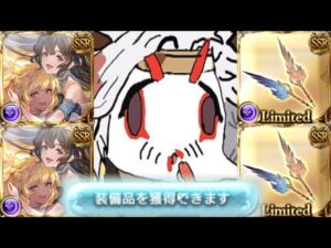 【天井】ハルマルに財布を破壊されました【グランデフェス】【グラブル】