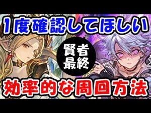 【賢者最終】1度確認してほしい、効率的な周回方法（カイム）（マリアテレサ）（礎武器）（領域開放）（グラブル）「グランブルーファンタジー」