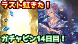 【グラブル】ラスト虹きた！シルヴァさん頼む！ガチャピン期間14日目！