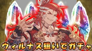 【グラブル】ウィルナス狙って300連天井ガチャ【9周年】