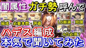 【ガチ勢対談】闇属性part2！アップデート後のハデス編成をガチ勢に本気で聞いてみた【グラブル】