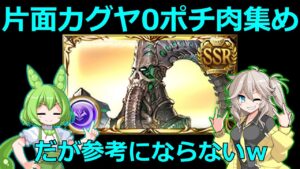 闇古戦場片面カグヤ0ポチ肉集め編成 D・ビィ入り【グラブル/グランブルーファンタジー】