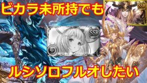 ルシソロ闇フルオート パラディン編成【グラブル/グランブルーファンタジー】