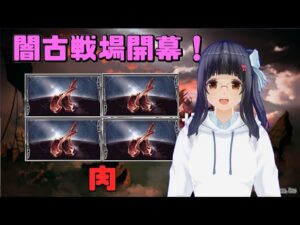 【グランブルーファンタジー】古戦場！肉肉肉肉肉肉肉肉肉肉