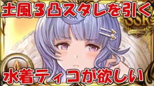 水着ティコ武器が欲しい水着も出る土風３凸スタレを引く！周年交換のシオン短剣被りも微妙に怖い【グラブル】