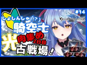 【グラブル/初心者騎空士】光有利古戦場予選2日目！お肉5000集めたい！ #14【闇有利古戦場/グランブルーファンタジー】【Vtuber/水無月りりあ】