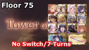 [GBF] Tower of Babyl - Floor 75 (Magna, No switches, 7 turns)