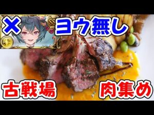 【グラブル】光古戦場 肉集め ヨウが居なくて悲しい（ライブ配信）（グラブル）「グランブルーファンタジー」