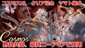 【グラブル】コスモスHL　クリア動画　最終ニーア4アビ使用【GBF】Cosmos　HL