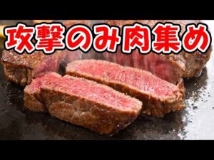 土古戦場 マグナ 攻撃のみ肉集め（EX+ 2400万）（ワンキル）（ライブ配信）（グラブル）「グランブルーファンタジー」