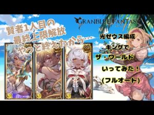 グランブルーファンタジー　賢者最終上限解放したのでザ・ワールド行ってみた【グラブル】