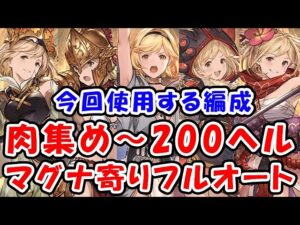 【グラブル】風古戦場 肉集め～200ヘル 今回使用するマグナ寄り編成（フルオート）「グランブルーファンタジー」