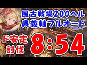 【グラブル】風古戦場 200ヘル 奥義軸 フルオート ド安定討伐 8分54秒「グランブルーファンタジー」