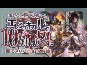スパバハHL　闇10%待機　イレギュラー対応あり【解説付き】【グラブル】【グランブルーファンタジー】