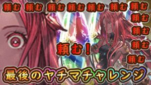 【グラブル】引退かけてヤチマチャレンジ【スターレジェンドガチャ】