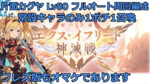 【グラブル】神滅戦　エクス・イフリート　80レベル　周回用　片面カグヤ　オメガ無し　無課金武器のみ　フルオート　1ポチ1召喚【GBF】Exo Ifrit Crucible Lv80 full auto
