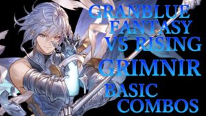 【GBVSR】グランブルーファンタジーヴァーサス ライジング グリームニル 基本 コンボ【 GRANBLUE FANTASY VS RISING GRIMNIR BASIC COMBOS 】