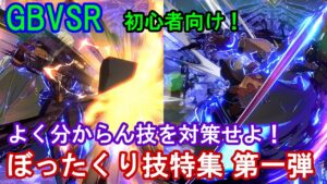 【初心者向け】よく分からん技を対策! ぼったくり技特集 第一弾【GBVSR・Granblue Fantasy Versus -RISING-・グラブルヴァーサスライジング】