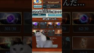 初めての賢者最終【グラブル】#グランブルーファンタジー #猫ミーム #猫マニ #shorts #granbluefantasy #賢者最終　#ハーゼ