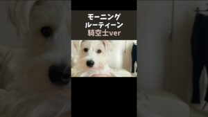 騎空士の朝は早い【モーニングルーティーン】#morningroutine #グラブル #グランブルーファンタジー #vlog #granbluefantasy  #ゲーム実況