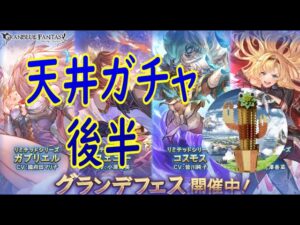 【グランブルーファンタジー】#18(後半)  天井ガチャ含め入手したキャラを編成＆武器交換チケ相談‼