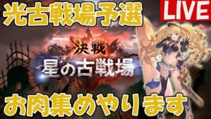 光古戦場お肉集めをします【しーじのグラブル雑談】2024年4月光有利古戦場