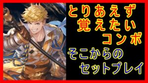 ヴェイン とりあえず覚えたいコンボ そこからのセットプレイ【グランブルーファンタジーヴァーサスライジング Granblue Fantasy Versus Rising GBVSR ベイン】