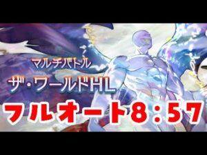 【グラブル】ザ・ワールドHL ソロ フルオート　8:57【gbf】