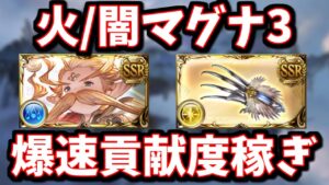ここに来て『超越ウーノ』『ミトロン拳』がガチになるなんて想像できませんでした。火/闇マグナ3救援編成例【グラブル】